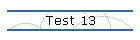 Test 13