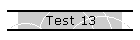 Test 13