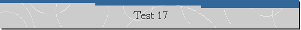 Test 17