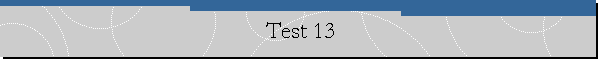 Test 13