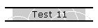 Test 11