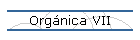 Orgnica VII