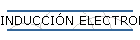 INDUCCIN ELECTROMAGNTICA